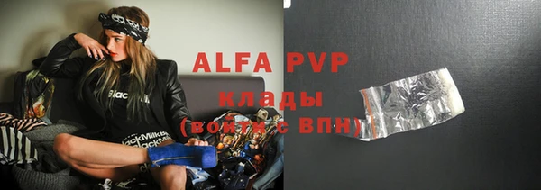 стаф Луховицы