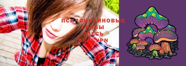 гашиш Ленинск