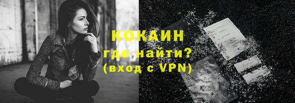 скорость Ельня