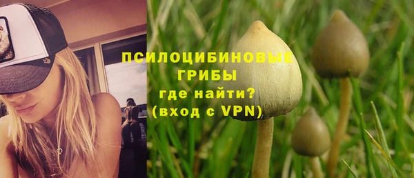 гашиш Дмитриев